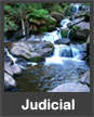 Judicial